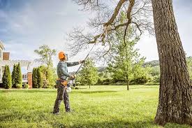 Best Hedge Trimming  in Winchester, IL